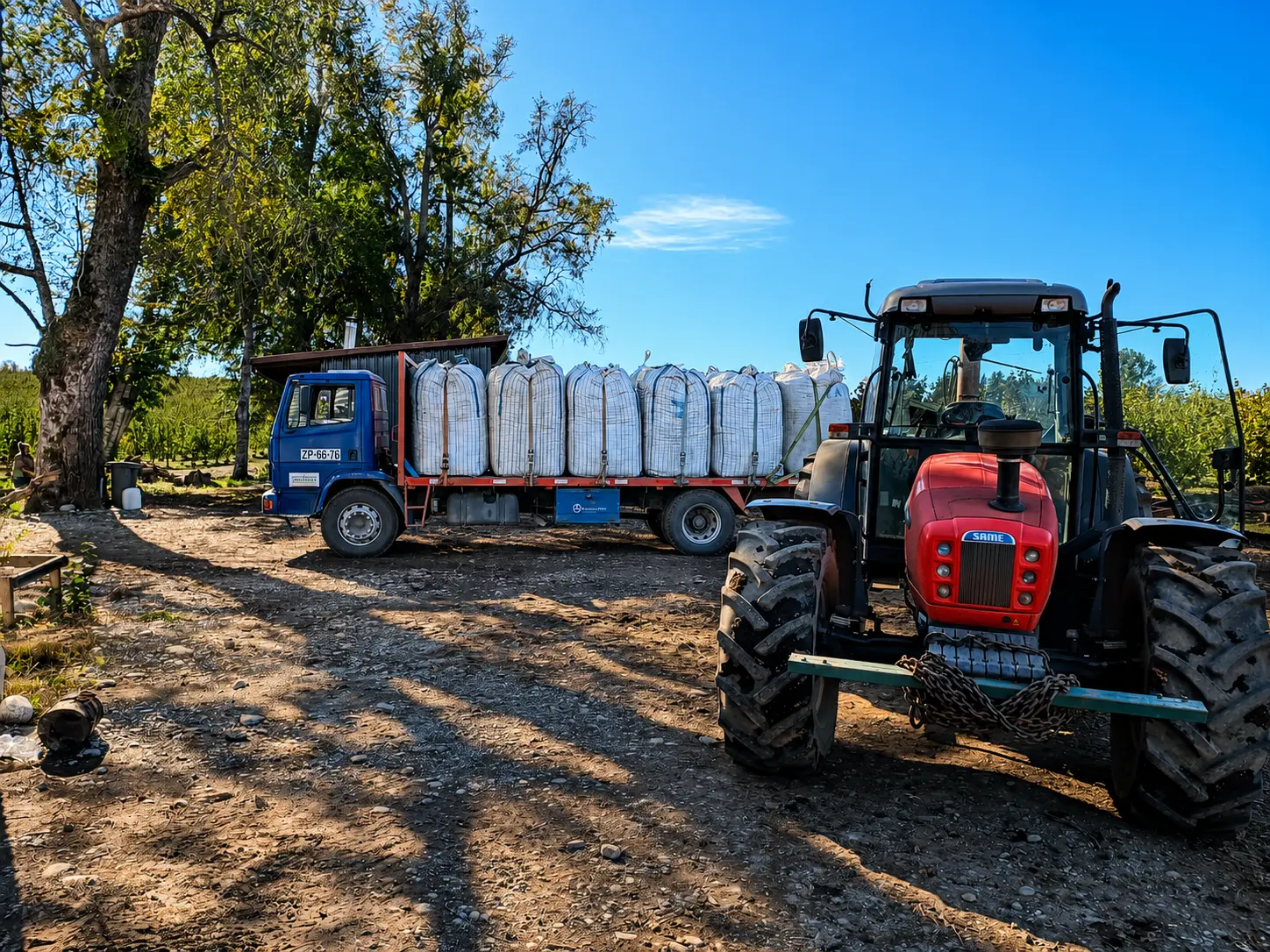 Transportes San Yovani en acción